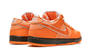 Nike SB Dunk Concepts Orange Lobster