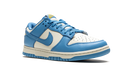 Nike Dunk Low Coast
