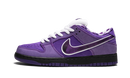 Nike SB Dunk Low Concepts Purple Lobster