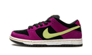 Nike SB Dunk Low ACG Terra Red Plum