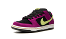 Nike SB Dunk Low ACG Terra Red Plum