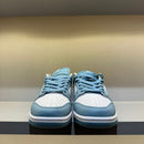 Nike Dunk Low Essential Paisley Pack Worn (Pronta Entrega)