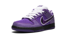 Concepts x Nike Dunk Low Purple Lobster