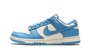 Nike Dunk Low Coast