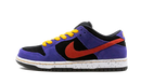Nike SB Dunk Low ACG Terra