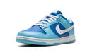 Nike Dunk Low Retro Argon