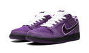 Concepts x Nike Dunk Low Purple Lobster