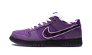 Concepts x Nike Dunk Low Purple Lobster