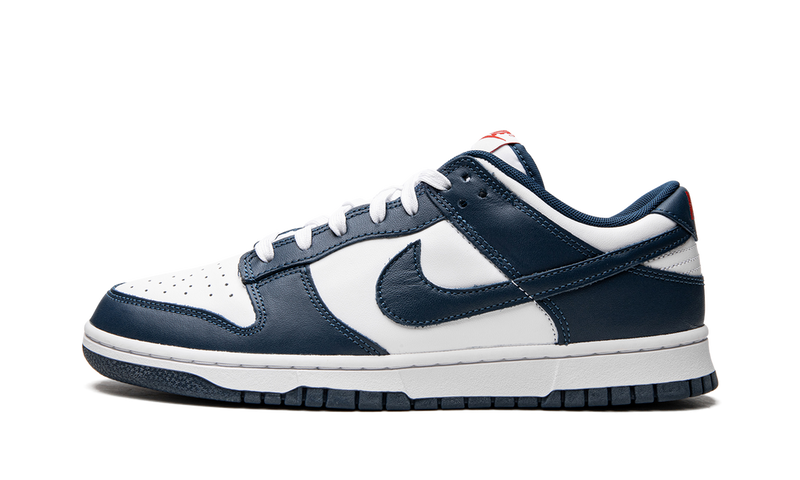 Nike Dunk Low Valerian Blue